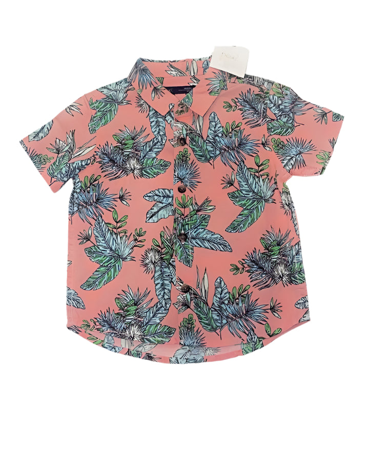 Next UK Short sleeve Boys Shirt (3-6/6-9 Months )