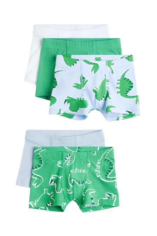 5-Pack Boxer Shorts Dinosaur